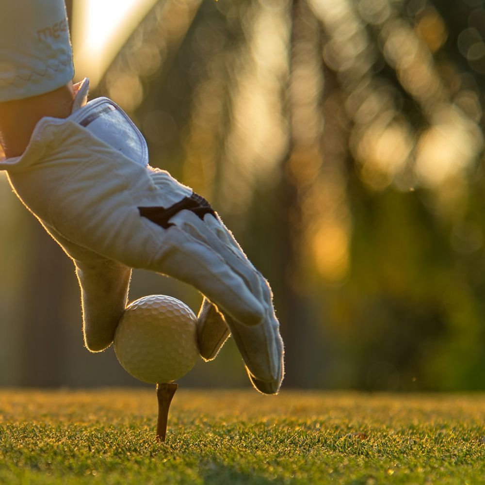 d3588f e62cc87a8b744f288fe2daafda28ce57~mv2 (1)